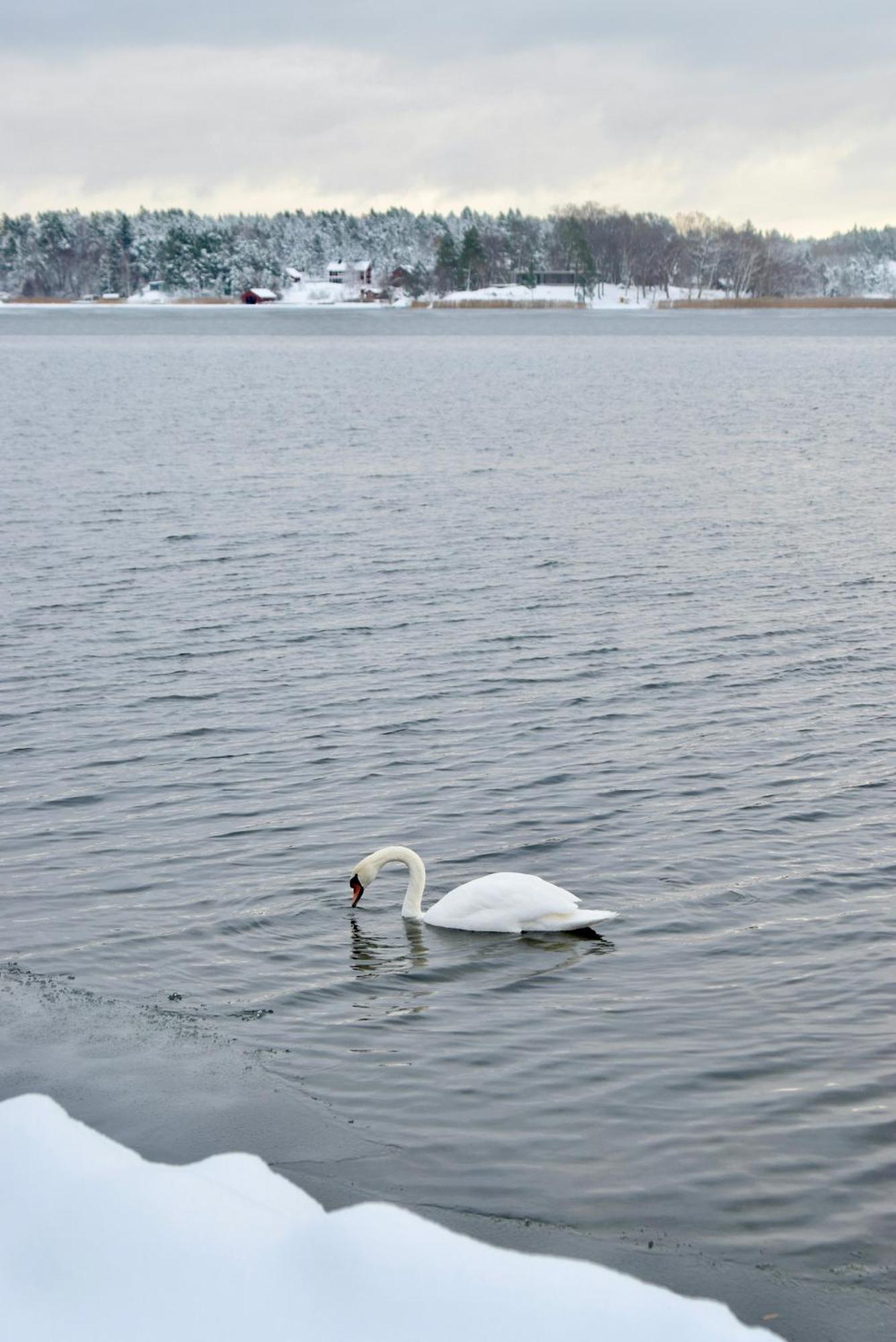 Sjoestuga/Gaesthus I Skaergarden. Åkersberga Zewnętrze zdjęcie